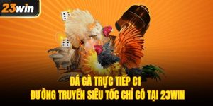 Đá gà trực tiếp C1